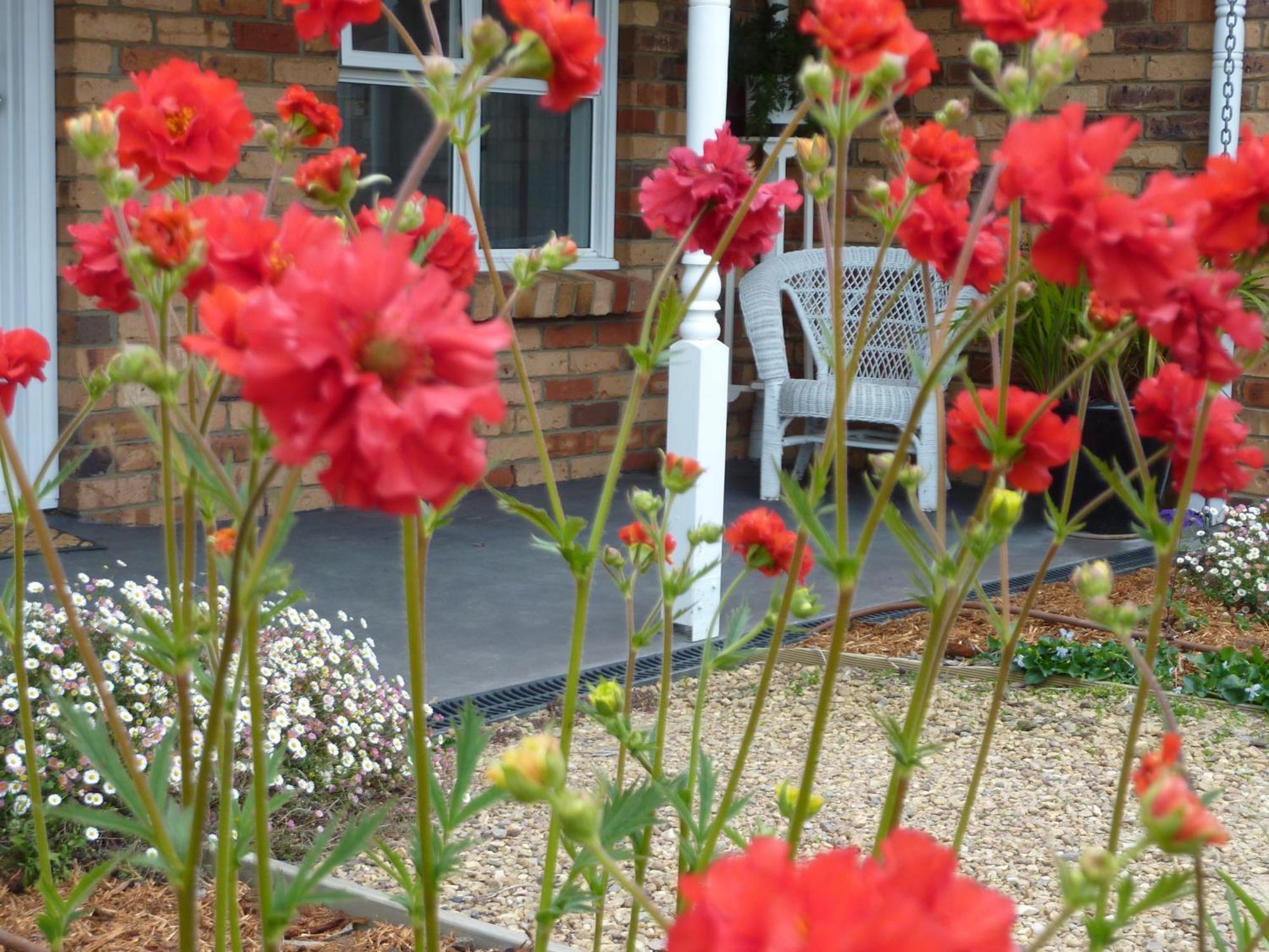 Hazelcreek Cottages Exeter Экстерьер фото